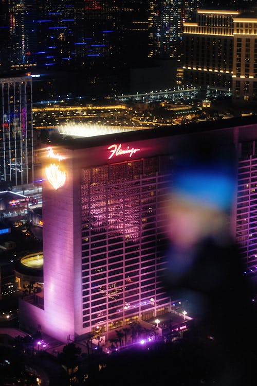 free slot play casino